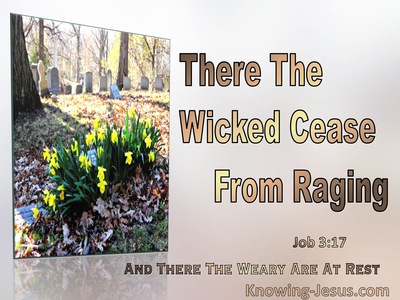 Job 3:17 The Wicked Cease Raging The Weary Are At Rest (brown) 